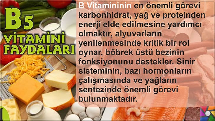 B5 Vitamini (Pantotenik Asit) Nedir? B5 Vitamini nelerde bulunur? | B5 Vitamini Faydaları