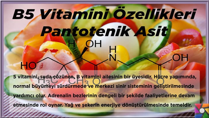 B5 Vitamini (Pantotenik Asit) Nedir? B5 Vitamini nelerde bulunur? | B5 Vitamini Özellikleri