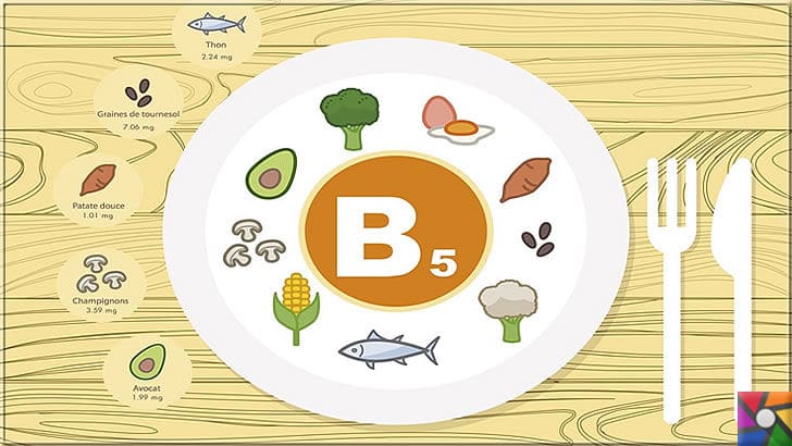 B5 Vitamini (Pantotenik Asit) Nedir? B5 Vitamini nelerde bulunur? | B5 Vitamini günlük alınan tüm doğal besinlerde bulunur