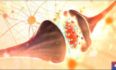 Serotonin nedir? Serotonini arttırmak için en iyi 10 doğal kaynak nedir?