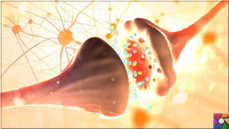 Serotonin nedir? Serotonini arttırmak için en iyi 10 doğal kaynak nedir?