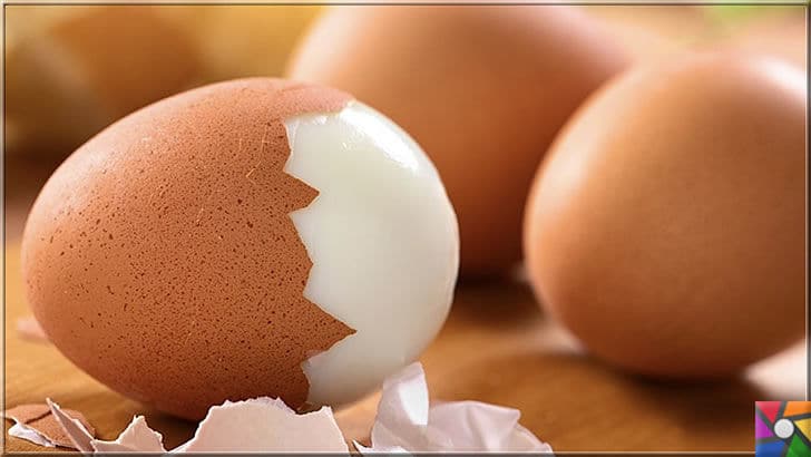 Yumurtanın üzerindeki kodlar ne işe yarar? Yumurtanın iyisi nasıl anlaşılır? | Yumurta içi ve dışı olmak üzere tümüyle insan sağlığına etkileri var
