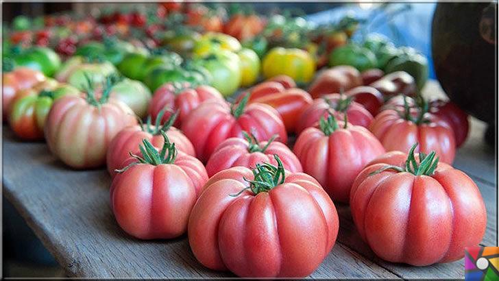 Domatesin tadı neden eskisi gibi değil? Neden gıdalara aroma katılıyor?