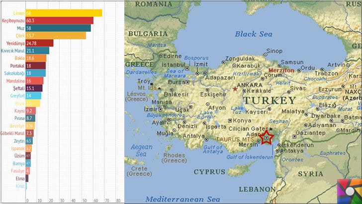 Nükleer Santral nedir? Nasıl çalışır? Fayda ve Zararları nelerdir? | Mersin'in tarım olarak ürettiği ürünlerin ülke katkısını gösteren grafik