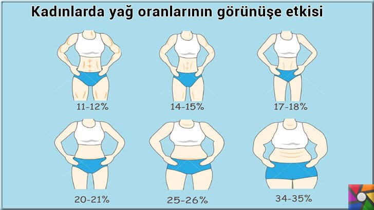 Sporculara neden yağ gerekli? İdeal vücudun yağ oranı nedir? | Kadınlarda vücut yağ oranlarının görüntüsü