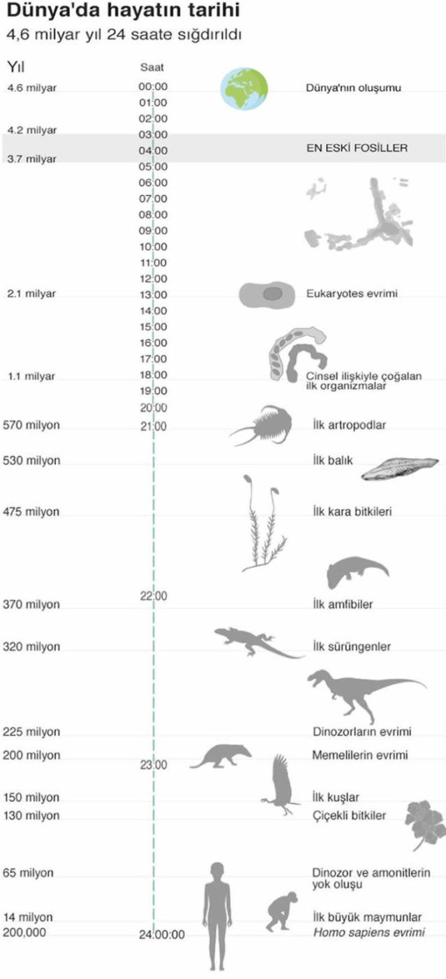 Dünyada yaşam nasıl başladı? Bilim adamlarına göre 7 Kuram | Dünyada ilk yaşamın çizelgesi