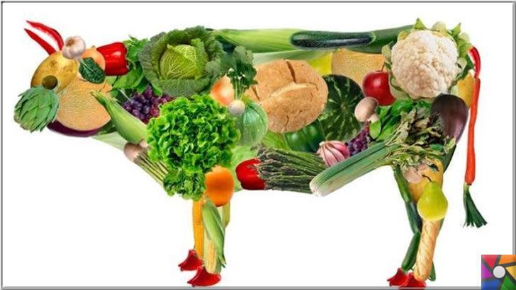 Bitkisel tabanlı beslenme Veganlık ne kadar yararlı? Et yemek zararlı mı?