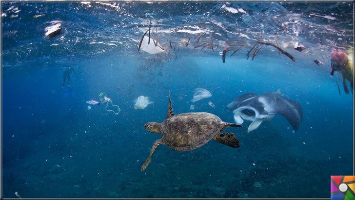 Çevre düşmanı Plastik sektörünün dolu dizgin yükselişi devam ediyor!