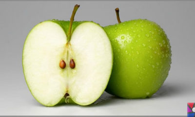 Elma çekirdekleri zehirli mi? Elma kabuğundaki tarım ilacı zararlı mı?