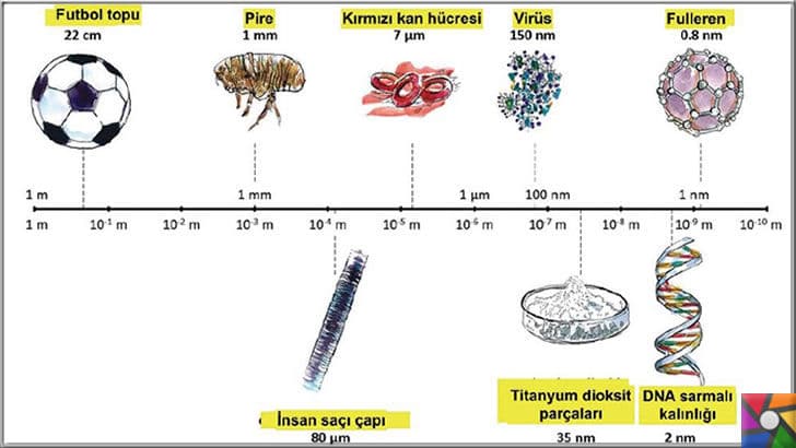 Nano robot nedir? Nano robotlar nasıl çalışır? Kanseri yenebilir mi?| Nano boyutları en iyi anlatan grafik