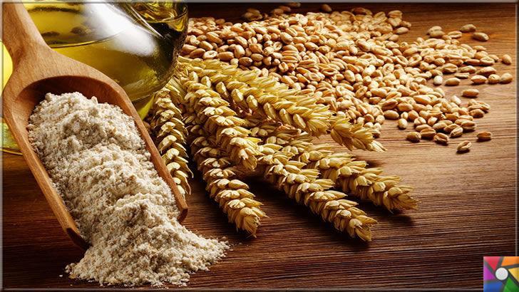 Siyez buğdayı nedir? Siyez bulguru nedir? Faydaları nelerdir?