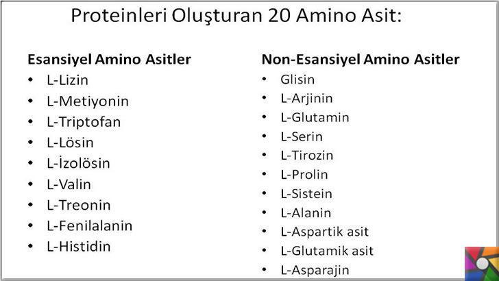 Amino Asit çeşitleri