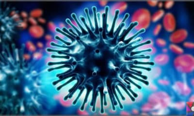 Kaç farklı grip virüsü vardır? İnsan öldüren grip virüsleri hangileridir?