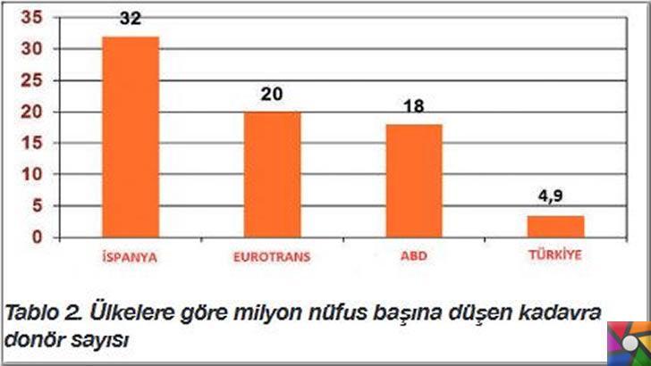 Organ nakli nedir? İlk organ nakli ne zaman yapıldı? Beyin ölümü nedir? | Dünyada organ nakli