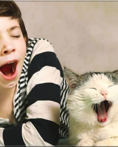 Ayna nöronlar nedir? Beyin neden ve nasıl taklit yapar?