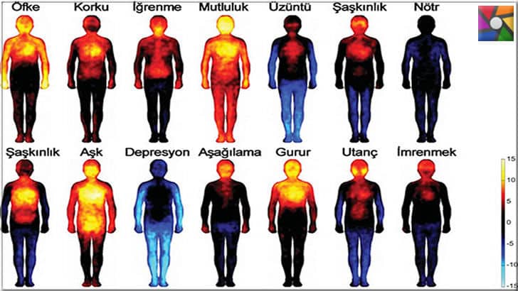 Değişen vücut sıcaklıklarının anlamları