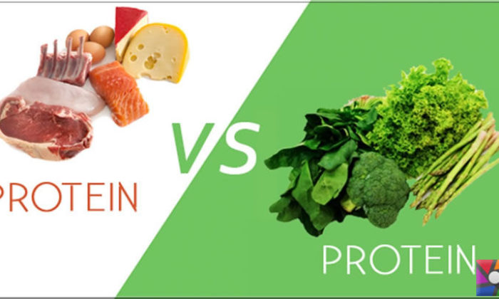 Hayvansal protein bitkisel proteinden daha mı yararlı?