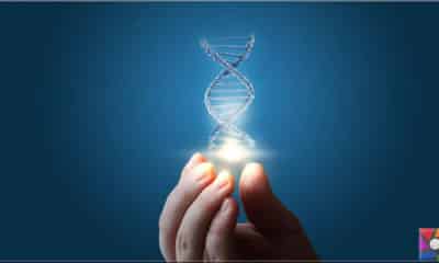 Gen nedir? İnsanda kaç gen var? Gen sayısı neden değişiyor?