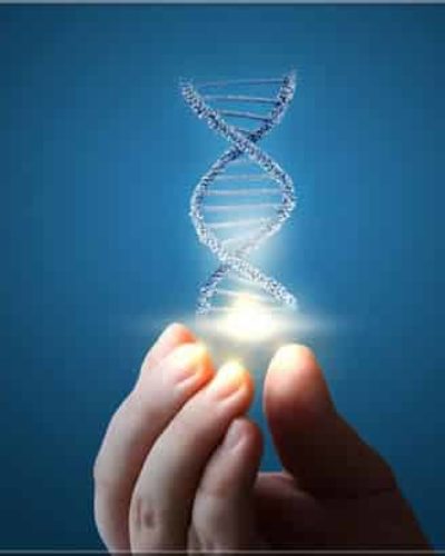 Gen nedir? İnsanda kaç gen var? Gen sayısı neden değişiyor?