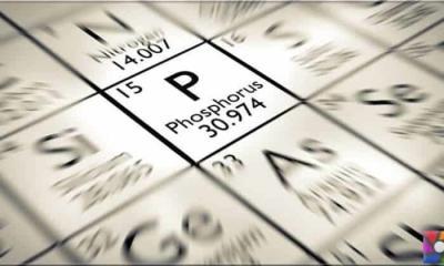 Fosfor elementi tükeniyor mu? Fosfor neden önemli?