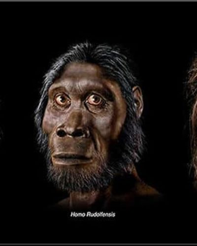 İnsan evrimi günümüzde de devam ediyor mu?