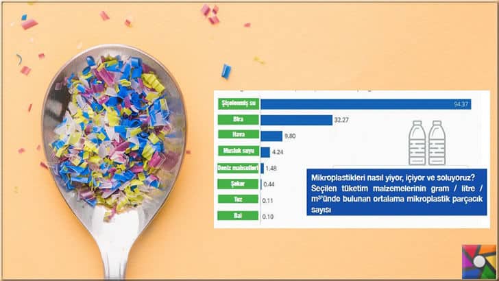 Vücudumuzda ne kadar mikroplastik taşıdığımızı biliyor musunuz?