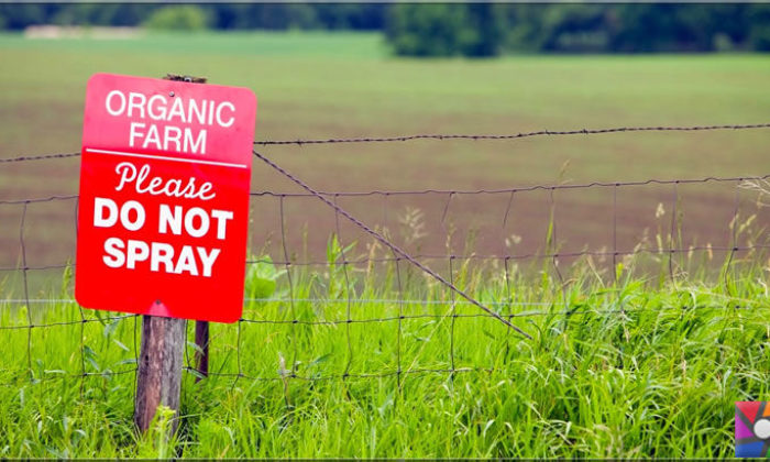 Organik tarım iklime daha çok zarar veriyor