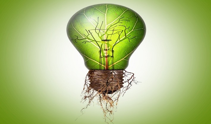 Yeşil enerji nedir? Geleceğin yakıtları ne olacak? Hangi enerji kullanılmalı?