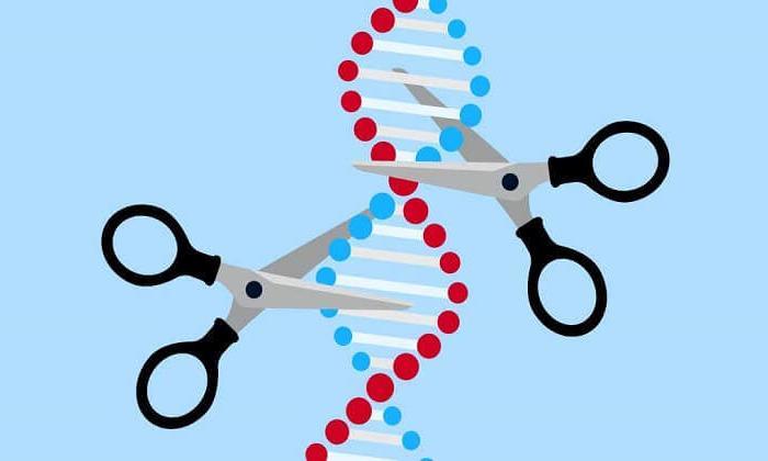 CRISPR tedavisi ile körlüğe karşı yeni bir umut