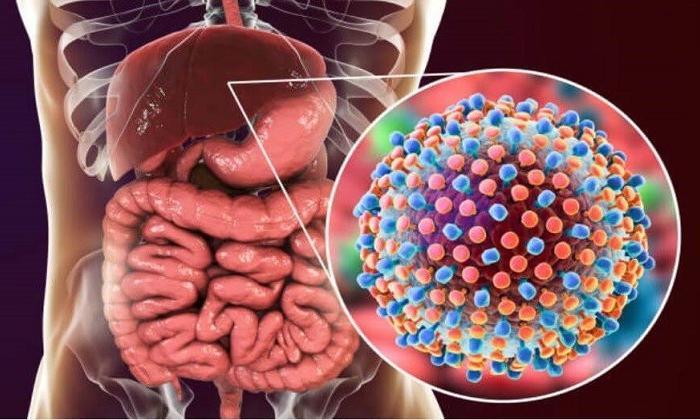 Hepatit C virüsü nedir? Hepatit C virüsünü ve tedavisini kim buldu?