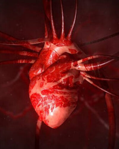 Kalbin yapısı neden bu kadar karışık?