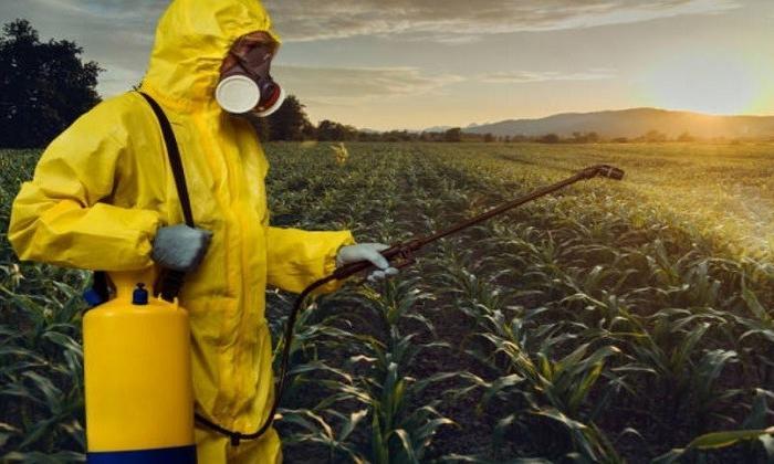 Konvansiyonel tarımda kullanılan pestisitler insanlara zarar veriyor mu?