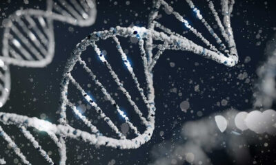 DNA kaç yılda kaybolur? Dünyada bulunan en eski DNA örneği