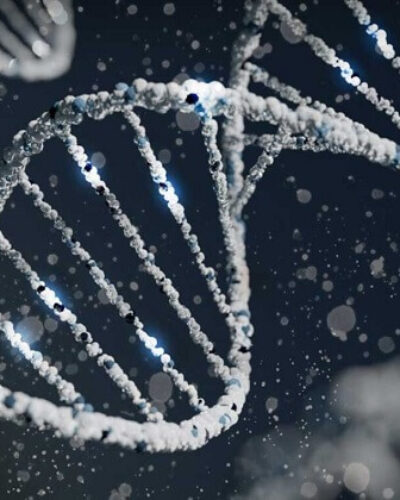 DNA kaç yılda kaybolur? Dünyada bulunan en eski DNA örneği