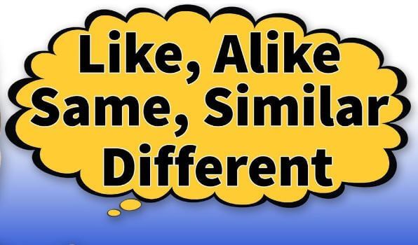 Like, Alike, The same as, Similar to, Different from | Karşılaştırma kelimeleri